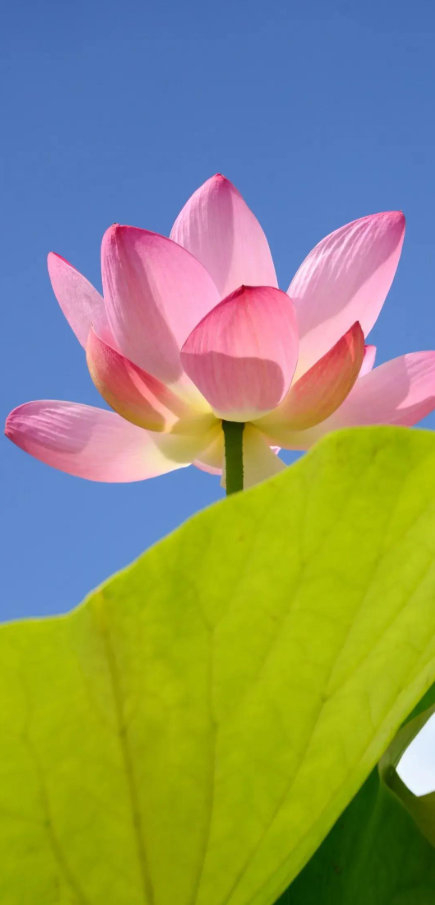 体育赛事-疲惫是成长信号，坚持离梦想更近|长跑|极限|运动员|能量|人生_新浪新闻